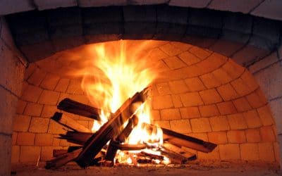 Best Fire Wood To Use for Your Pizza Oven
